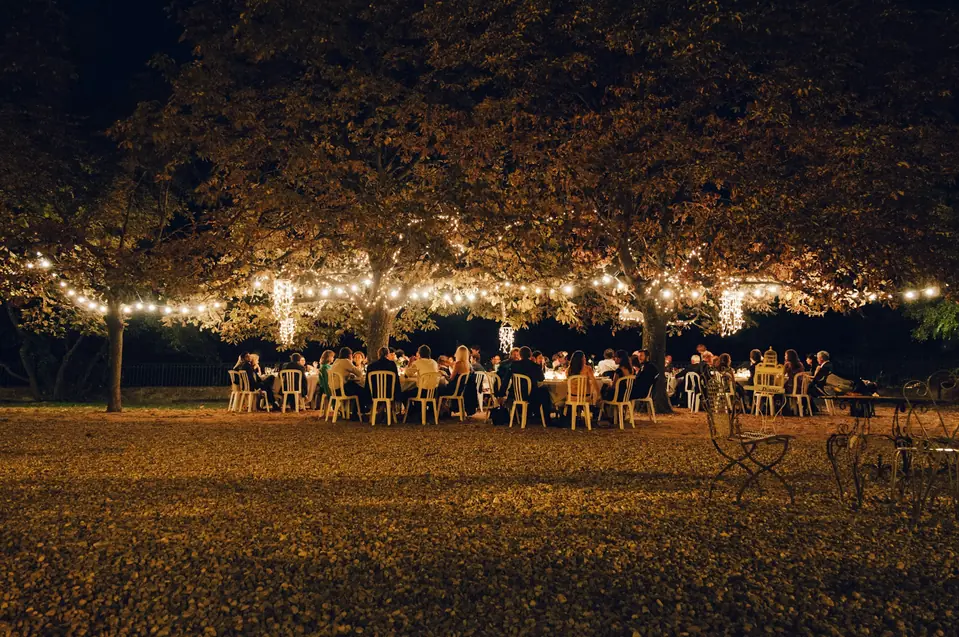 A reception dinner under trees strung with lights at night